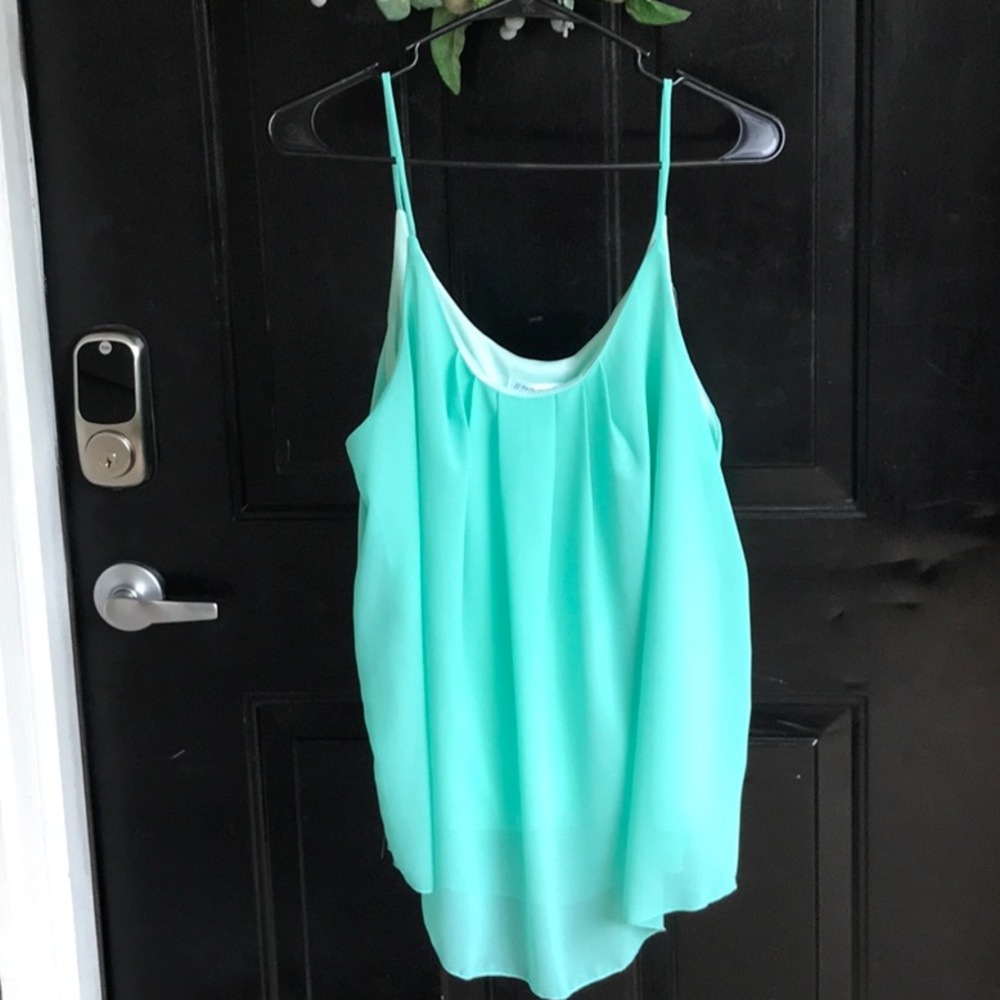 Another 2XL crepe style top.  Mint green.